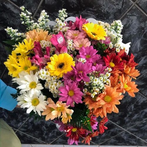 FLORESDOCAMPO